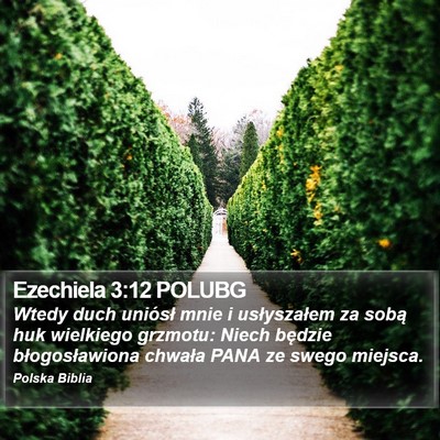 Ezechiela 3:12 POLUBG Bible Verse Image