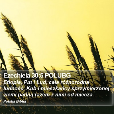 Ezechiela 30:5 POLUBG Bible Verse Image