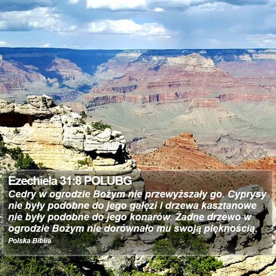 Ezechiela 31:8 POLUBG Bible Verse Image
