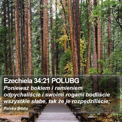 Ezechiela 34:21 POLUBG Bible Verse Image