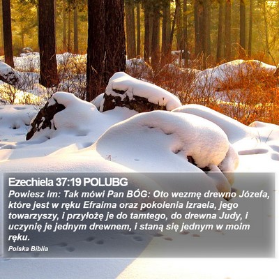 Ezechiela 37:19 POLUBG Bible Verse Image