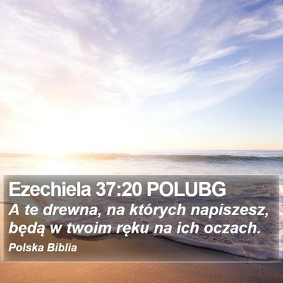 Ezechiela 37:20 POLUBG Bible Verse Image