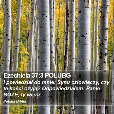 Ezechiela 37:3 POLUBG Bible Verse Image