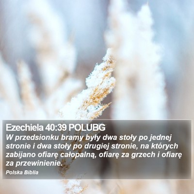 Ezechiela 40:39 POLUBG Bible Verse Image