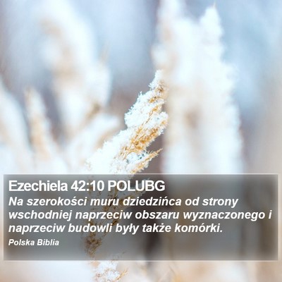 Ezechiela 42:10 POLUBG Bible Verse Image