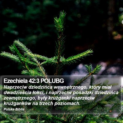 Ezechiela 42:3 POLUBG Bible Verse Image