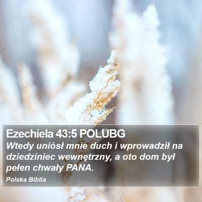 Ezechiela 43:5 POLUBG Bible Verse Image