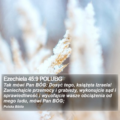 Ezechiela 45:9 POLUBG Bible Verse Image