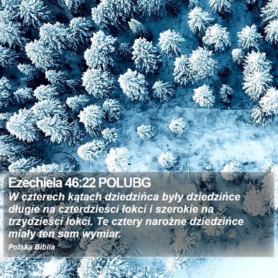 Ezechiela 46:22 POLUBG Bible Verse Image