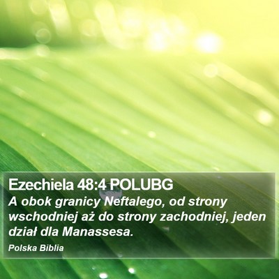 Ezechiela 48:4 POLUBG Bible Verse Image