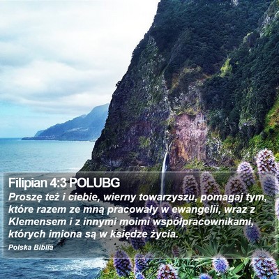 Filipian 4:3 POLUBG Bible Verse Image