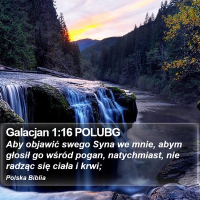 Galacjan 1:16 POLUBG Bible Verse Image