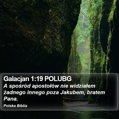 Galacjan 1:19 POLUBG Bible Verse Image