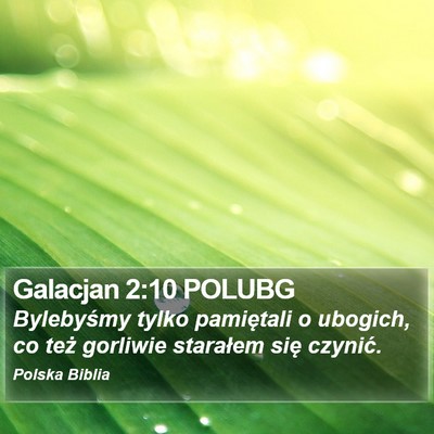 Galacjan 2:10 POLUBG Bible Verse Image