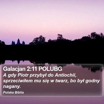 Galacjan 2:11 POLUBG Bible Verse Image