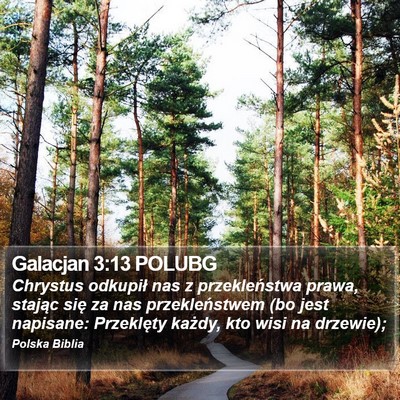 Galacjan 3:13 POLUBG Bible Verse Image