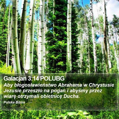 Galacjan 3:14 POLUBG Bible Verse Image