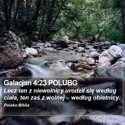 Galacjan 4:23 POLUBG Bible Verse Image