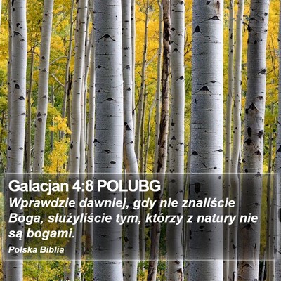 Galacjan 4:8 POLUBG Bible Verse Image