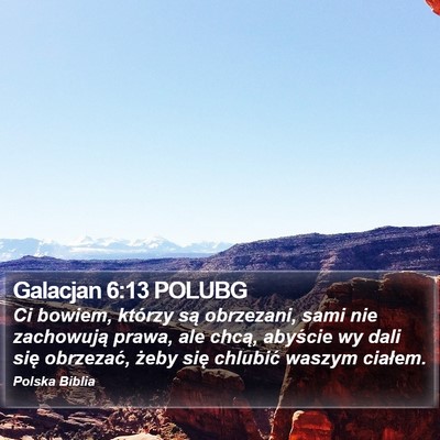 Galacjan 6:13 POLUBG Bible Verse Image