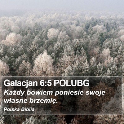 Galacjan 6:5 POLUBG Bible Verse Image