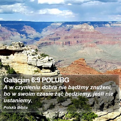 Galacjan 6:9 POLUBG Bible Verse Image