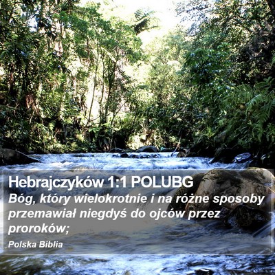 Hebrajczyków 1:1 POLUBG Bible Verse Image