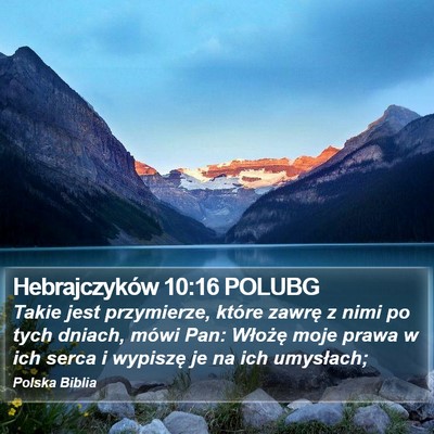 Hebrajczyków 10:16 POLUBG Bible Verse Image
