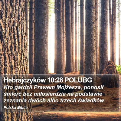 Hebrajczyków 10:28 POLUBG Bible Verse Image