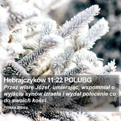 Hebrajczyków 11:22 POLUBG Bible Verse Image