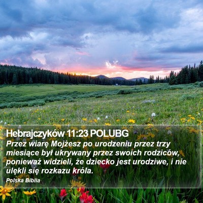 Hebrajczyków 11:23 POLUBG Bible Verse Image