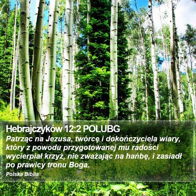 Hebrajczyków 12:2 POLUBG Bible Verse Image