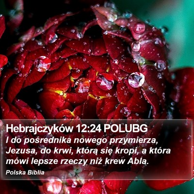 Hebrajczyków 12:24 POLUBG Bible Verse Image