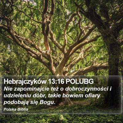 Hebrajczyków 13:16 POLUBG Bible Verse Image