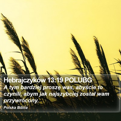 Hebrajczyków 13:19 POLUBG Bible Verse Image