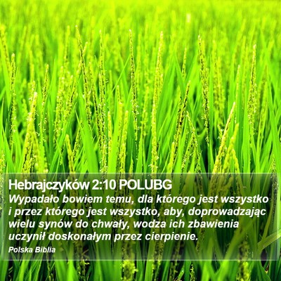 Hebrajczyków 2:10 POLUBG Bible Verse Image