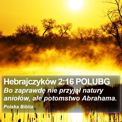 Hebrajczyków 2:16 POLUBG Bible Verse Image
