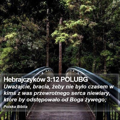 Hebrajczyków 3:12 POLUBG Bible Verse Image