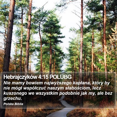 Hebrajczyków 4:15 POLUBG Bible Verse Image