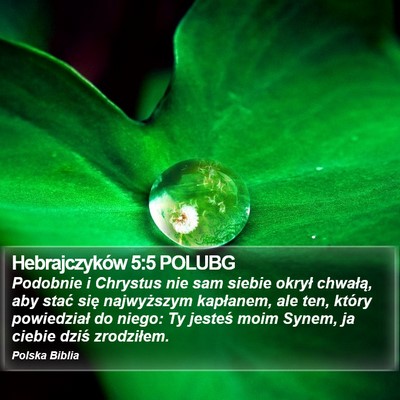 Hebrajczyków 5:5 POLUBG Bible Verse Image
