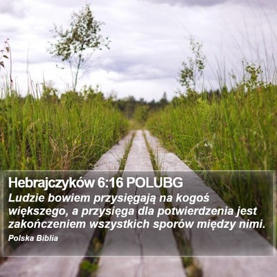 Hebrajczyków 6:16 POLUBG Bible Verse Image