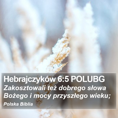 Hebrajczyków 6:5 POLUBG Bible Verse Image
