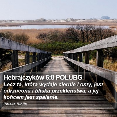 Hebrajczyków 6:8 POLUBG Bible Verse Image