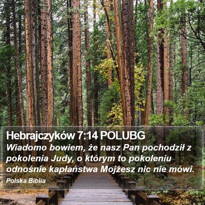 Hebrajczyków 7:14 POLUBG Bible Verse Image