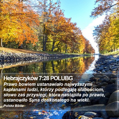 Hebrajczyków 7:28 POLUBG Bible Verse Image