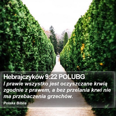 Hebrajczyków 9:22 POLUBG Bible Verse Image