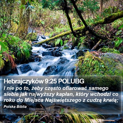 Hebrajczyków 9:25 POLUBG Bible Verse Image