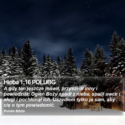 Hioba 1:16 POLUBG Bible Verse Image