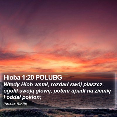Hioba 1:20 POLUBG Bible Verse Image