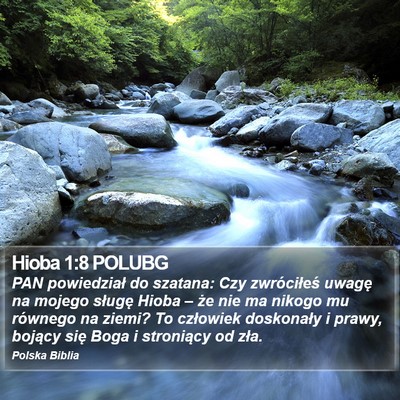 Hioba 1:8 POLUBG Bible Verse Image